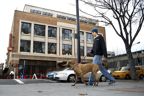 Zak Battaglia walks his dog Kaya past the Elliott Building at 16th and J streets in downtown Sacramento 