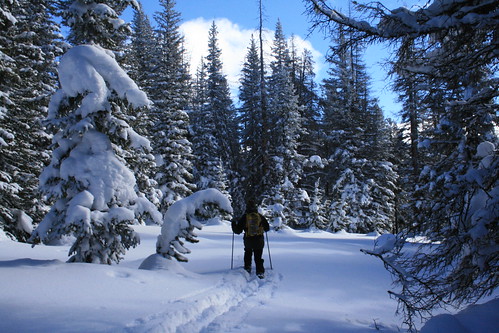 Snowy Range, Wyoming