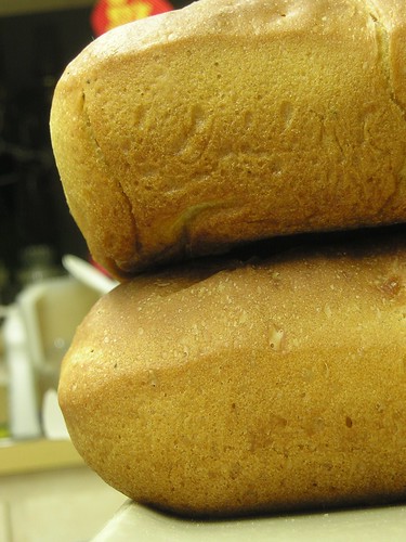 Close-up of made-up bread