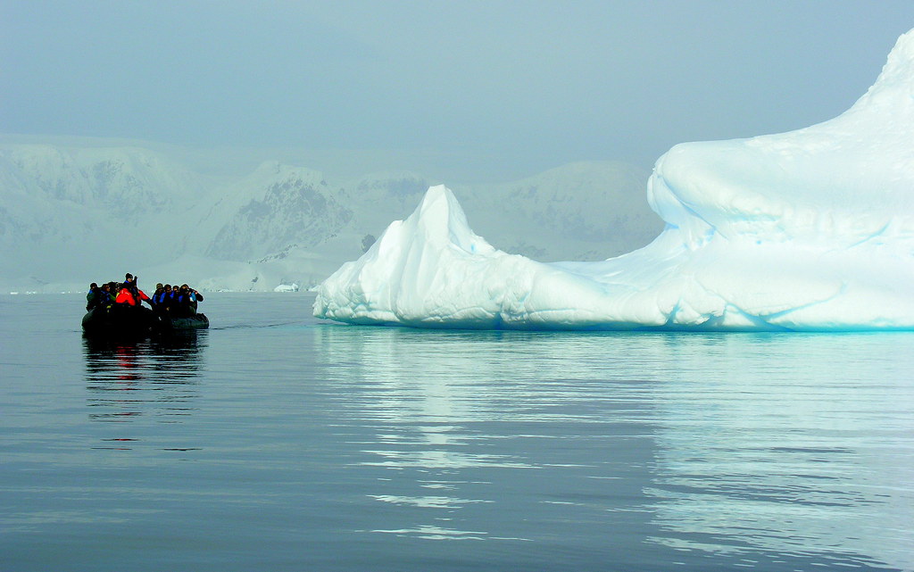 ANTARCTICA2010-155 Foyn Barbour 南極 Foyn灣
