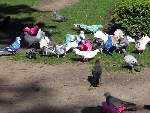 Pigeons at the Efteling