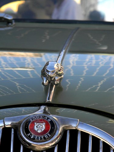 Jaguar Mod.66.
