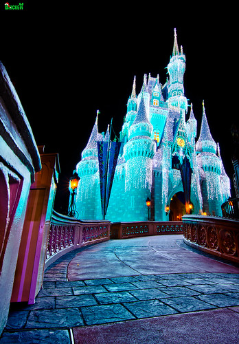 The Long and Winding Road...to Cinderella Castle