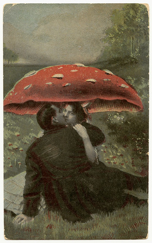 Under the Mushroom / WonderfullyStrange