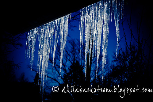 icicles-6