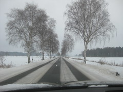 Schnee in Celle (1)
