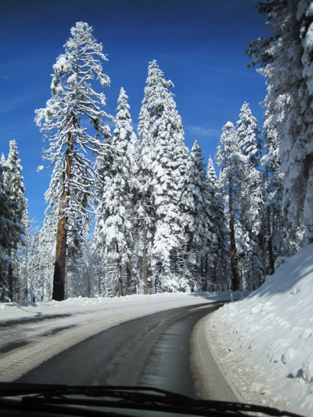 Yosemite in the Winter time