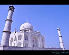 A View of Taj