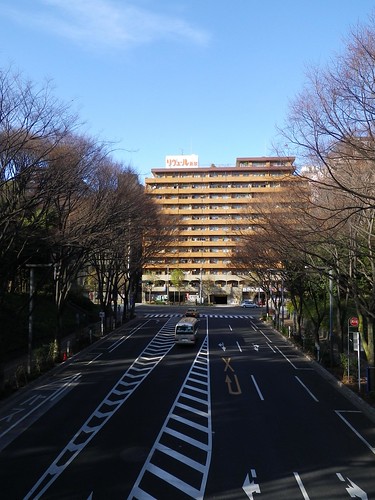 20110102 Japan Road+Yoyogi Run
