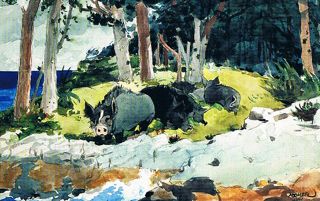 Winslow Homer Wild Boars