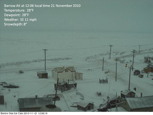 Barrow AK arctic sea ice webcam, 21 November 2010