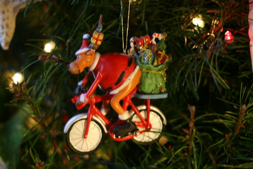 Bicycle reindeer