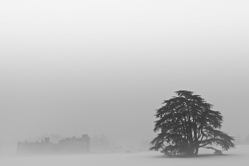 White Out (Leeds Castle), Kent by flatworldsedge
