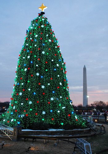 White House Christmas 6