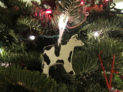 Cow Ornament by Steve Clancy, on Flickr