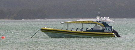Our cruise boat, looks fast, is fast