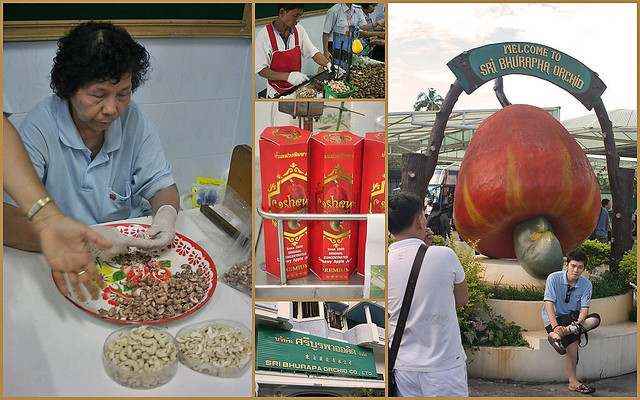 Phuket's famous cashew nut factory, run by Chinese Thai