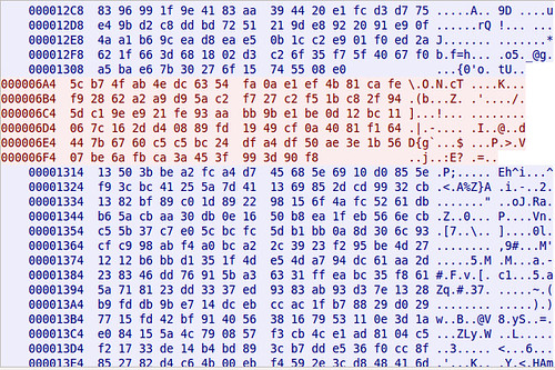 Hexdump showing encrypted SILC Chat