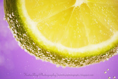 lime-with-bubbles---wm