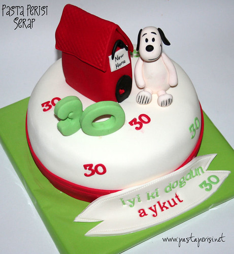 Snoopy 30 yaş pastası