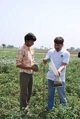 India - Sustainable Agriculture