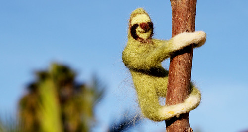 Green Sloth