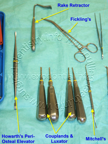 Oral Surgery Kit - Elevators,