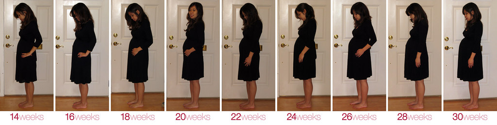 belly photos, 14-30 weeks