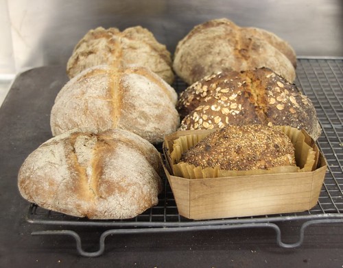 Tom Herberts Bread Course at Bedruthan Steps, Cornwall