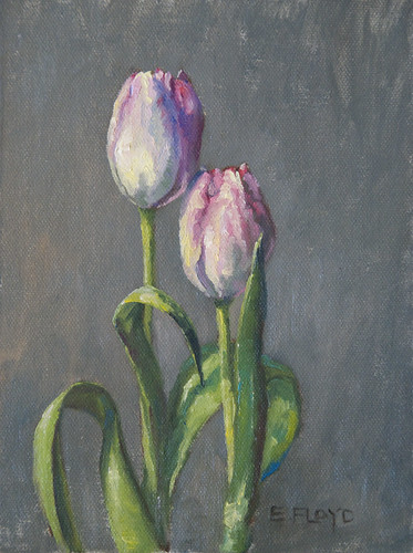 20110123 two tulips 8x6