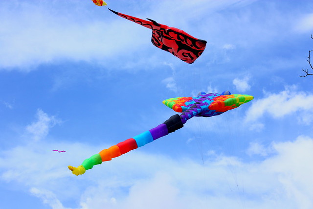 Kites Festival 2011_108