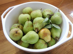 Bountiful pears