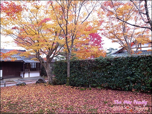 京都 妙見宮