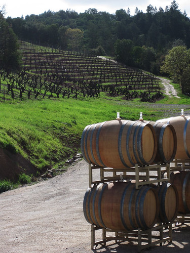 Bella Vineyards, Dry Creek Valley, Geyersville, CA
