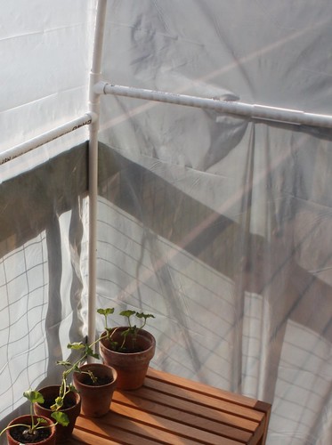 Greenhouse Snap Clamp