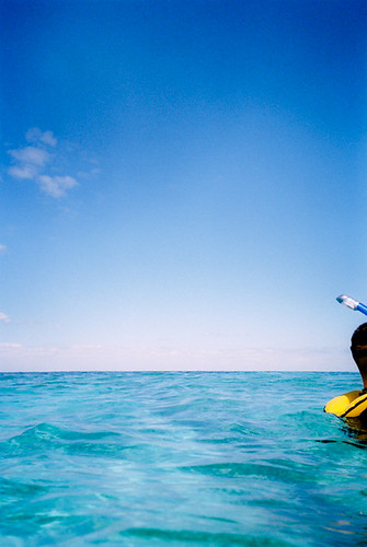 Snorkler, John Pennekamp, Key Largo Florida
