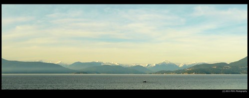 North Vancouver Mountains