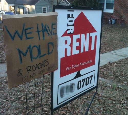 WE HAVE MOLD & ROACHES - DO NOT RENT HERE!! 