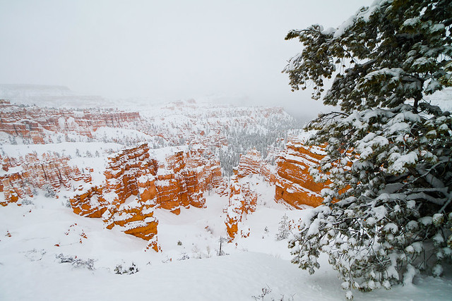 Bryce National Park in the snow-24.jpg
