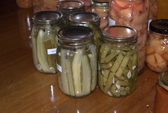 Dill Cucumber Spears and Beans