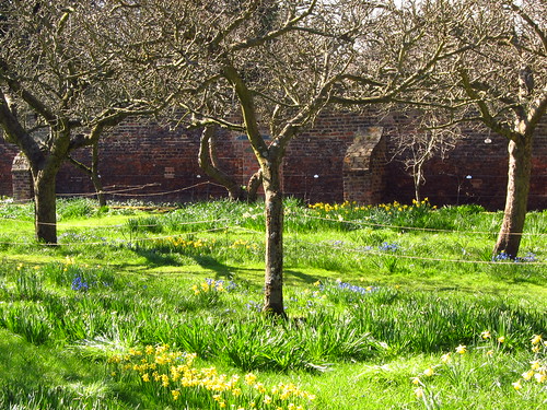 Spring Meadow at Fenton House