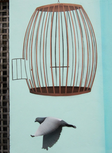 Flying Pigeon and Cage