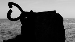 A bull in San Sebastian