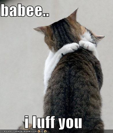 Love You Lolcat. to get the URL lolcats-