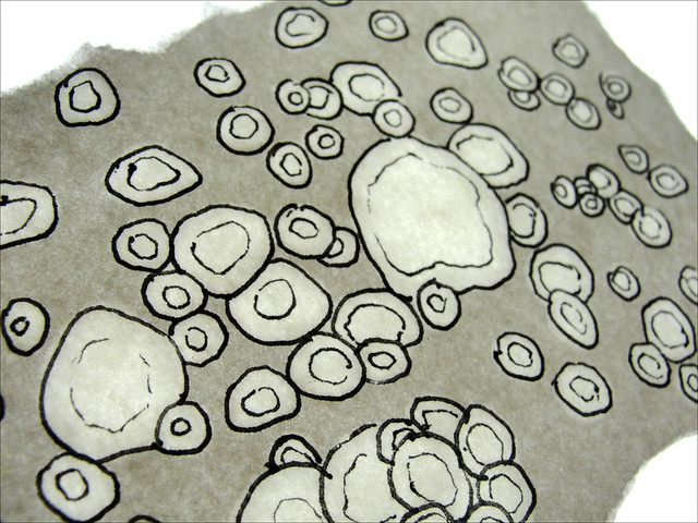 Drawing of cells