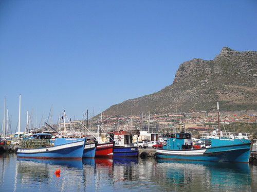 The fishing boats at Hout Bay, South Africa