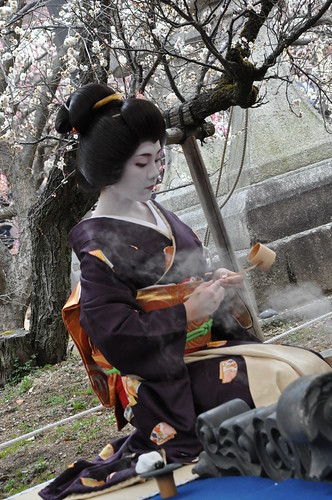 Tea Ceremony -- Geiko Ichiteru