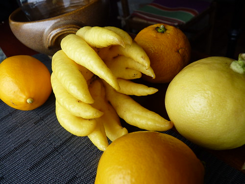 Main de Boudha et divers citrons
