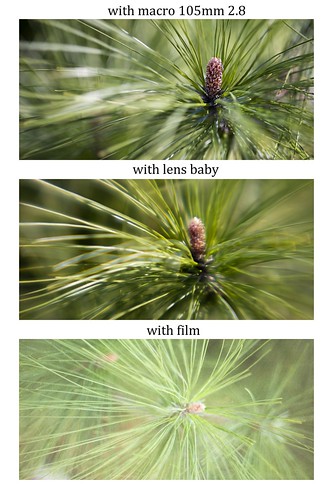 Macro, lens baby, and film