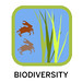 IGOR chip- biodiversity 150